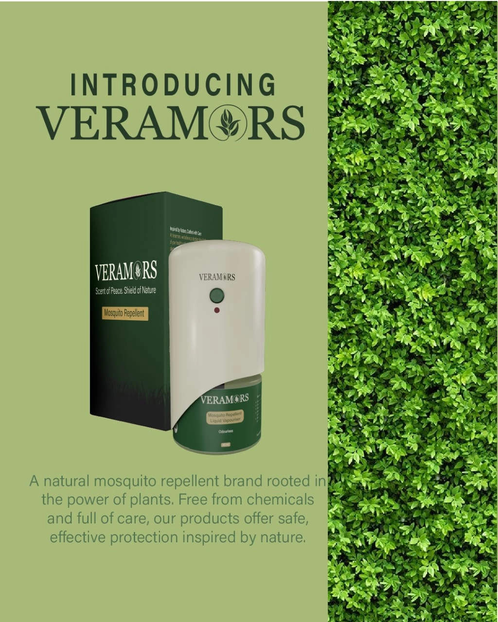 Product Launch Poster
